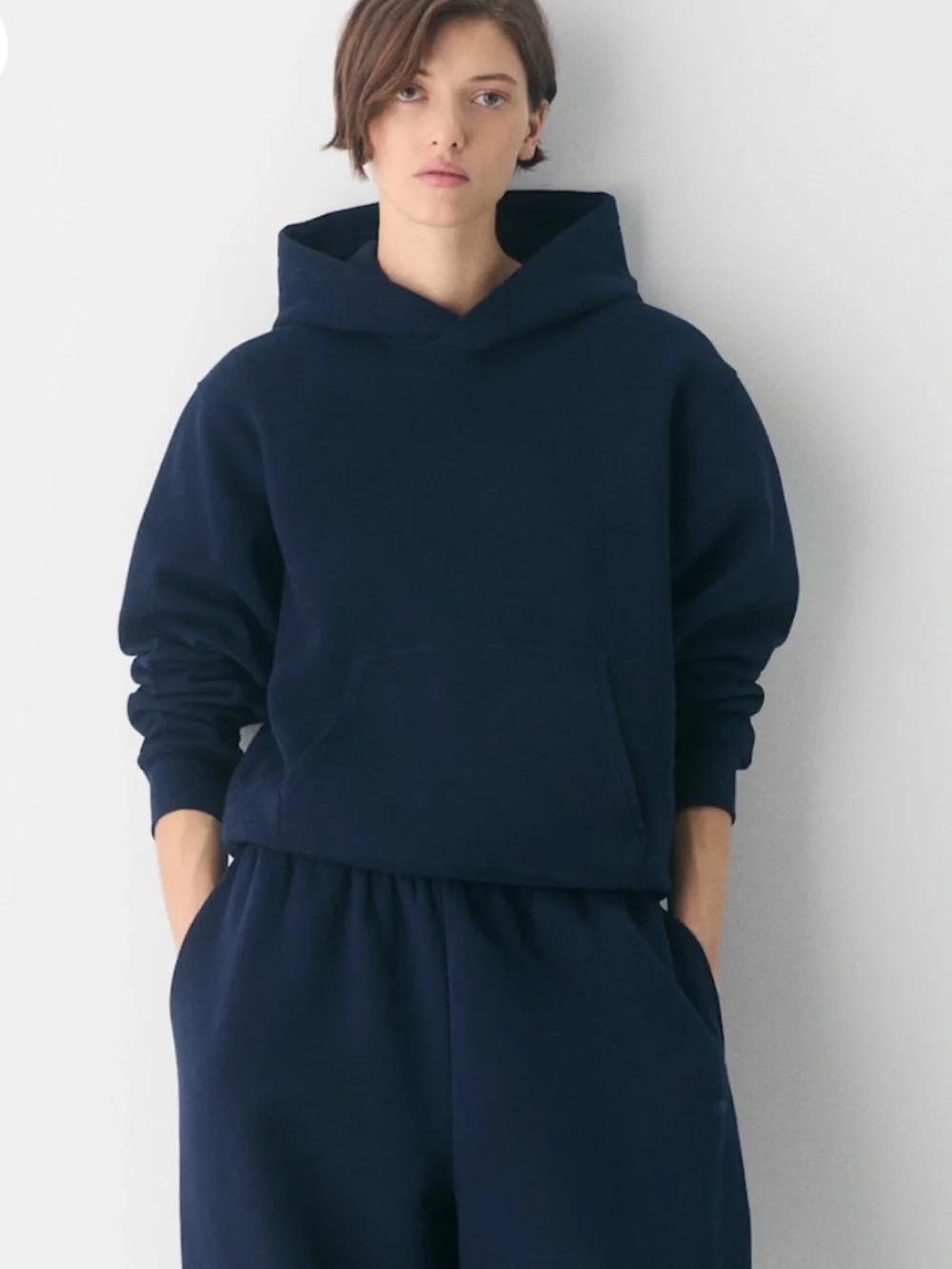 Aritizia cozy sweat fleece perfect hoodie